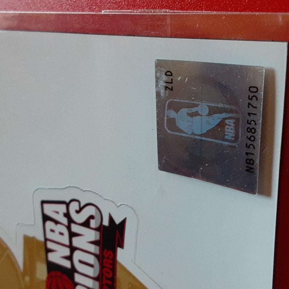 Toronto Raptors 2019 NBA Champions Magnet Set NEW